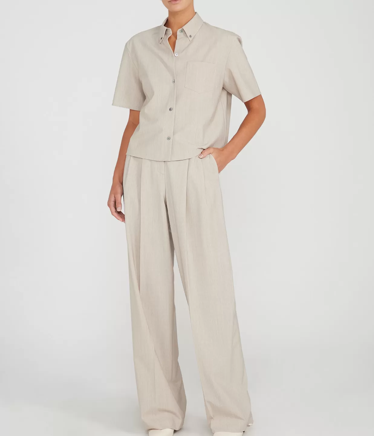 Store Double Pleat Pant In Sand Melange Pants