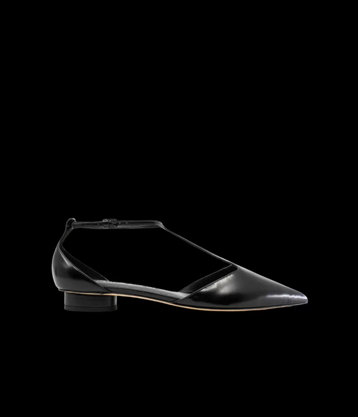 Clearance Gisele Pointed Flat In Black Flat Shoes