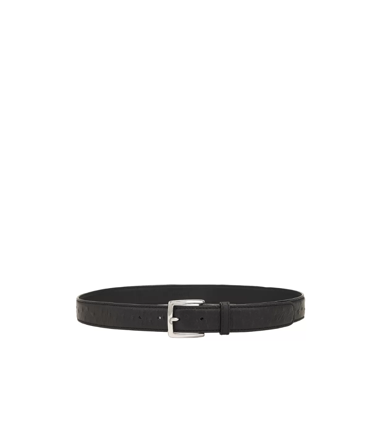 Outlet Ostrich Leather Belt In Black Belts